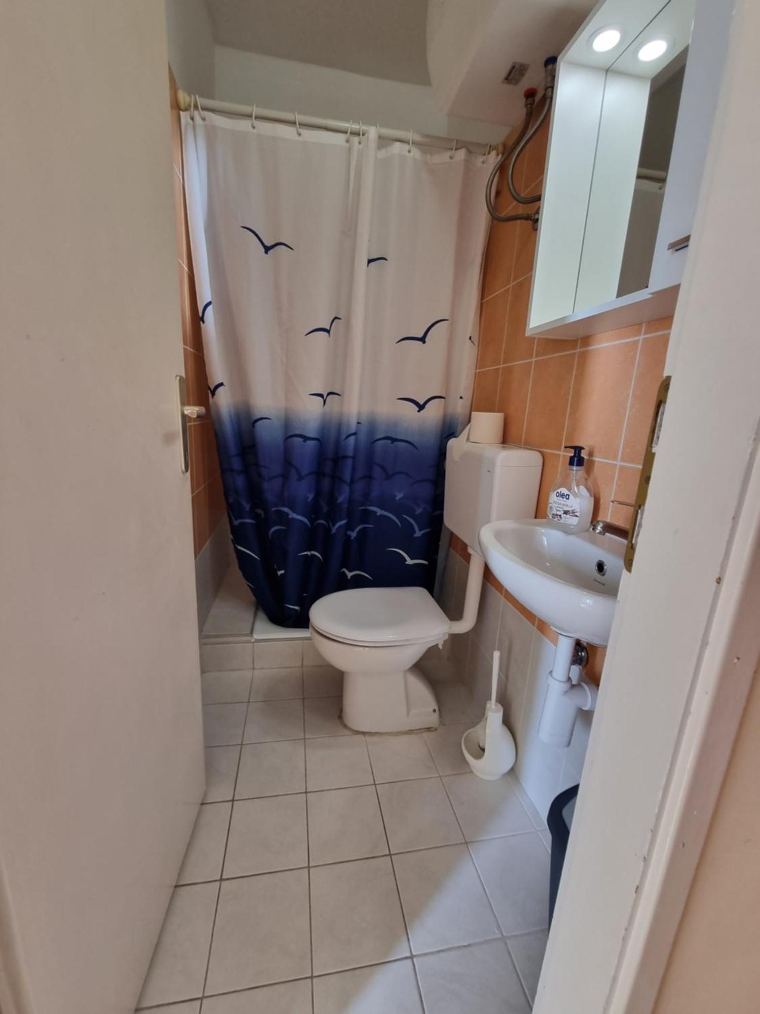 Apartmani Apollo - Drasnice Cameră foto